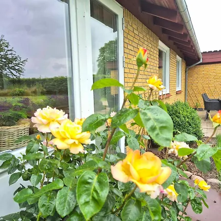 빌라 In Denmark - Hygge Otterup