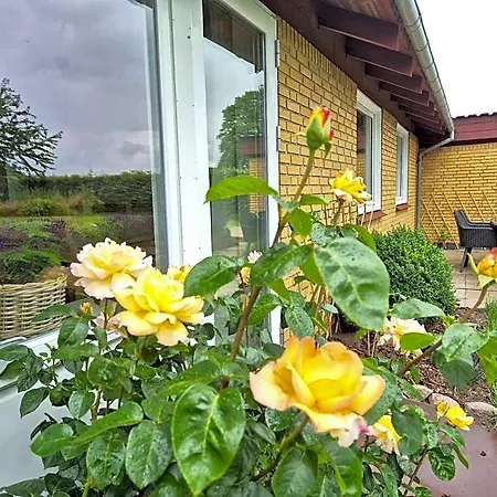 In Denmark - Hygge 别墅 *